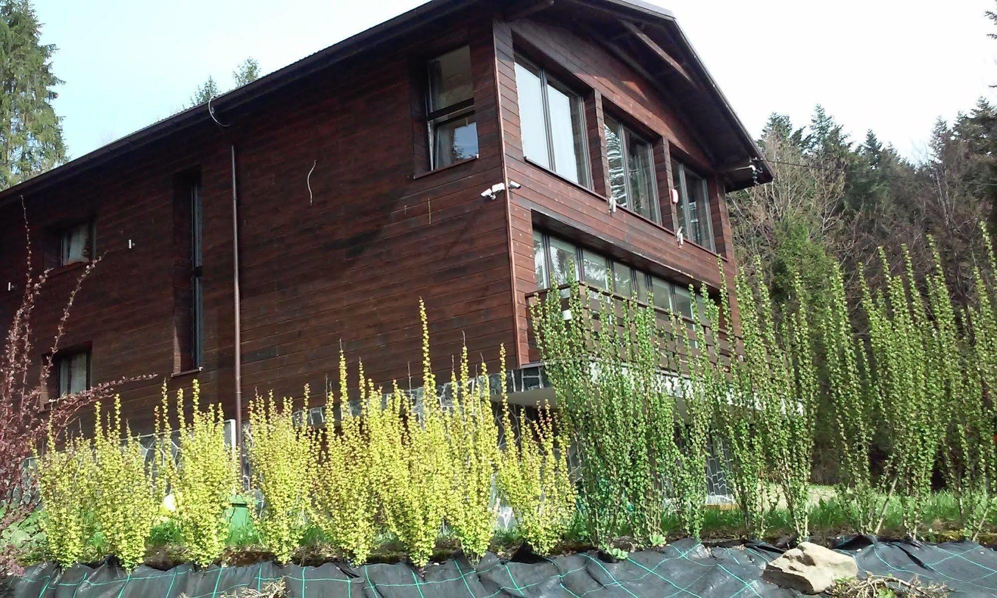 Karolinka Guest House シュチルク エクステリア 写真